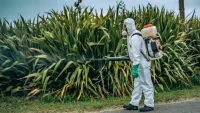 Mar del Plata: Continúan los controles para prevenir el Dengue